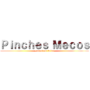 Ｐｉｎｃｈｅｓ Ｍｅｃｏｓ (puto el que lo lea)