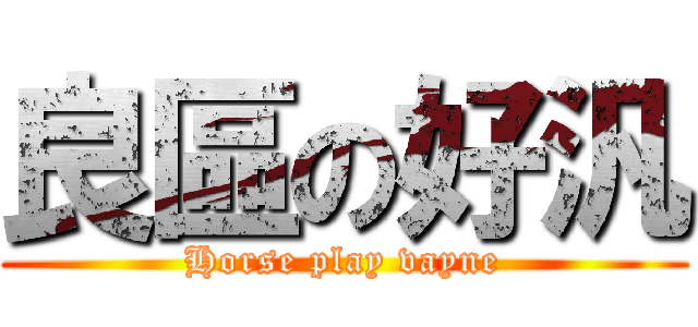 良區の好汎 (Horse play vayne)