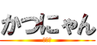 かつにゃん (にゃー)