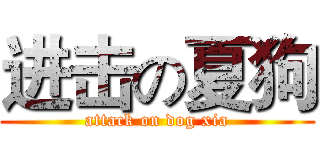 进击の夏狗 (attack on dog xia)