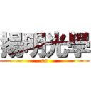 揚明光學 (aa)
