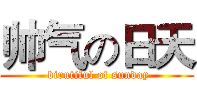 帅气の日天 ( birutiful of sunday)