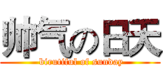 帅气の日天 ( birutiful of sunday)