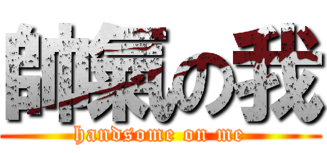 帥氣の我 (handsome on me)
