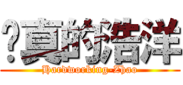 认真的浩洋 (Hardworking-Zhao)