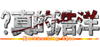 认真的浩洋 (Hardworking-Zhao)
