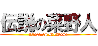 伝説の菜野人 (attack on kakavege)