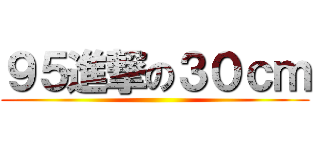 ９５進撃の３０ｃｍ ()