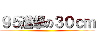 ９５進撃の３０ｃｍ ()