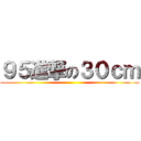 ９５進撃の３０ｃｍ ()