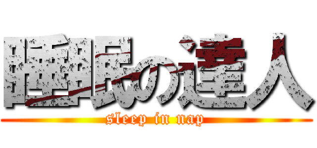 睡眠の達人 (sleep in nap)