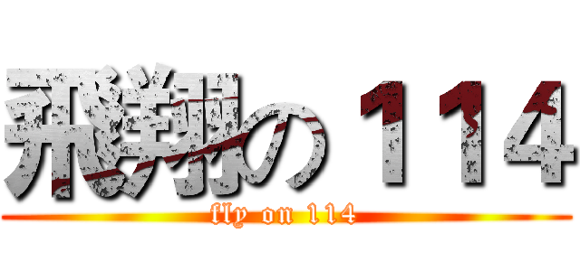 飛翔の１１４ (fly on 114)