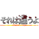 それは違うよ (It is wrong)