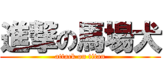 進撃の馬場犬 (attack on titan)