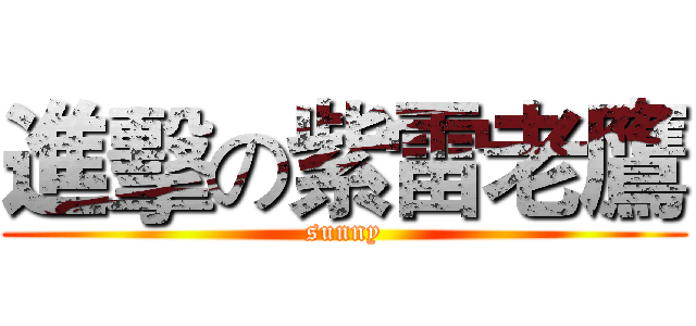 進擊の紫雷老鷹 (sunny)