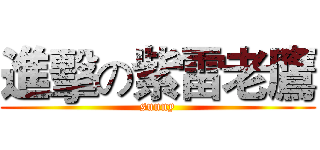 進擊の紫雷老鷹 (sunny)