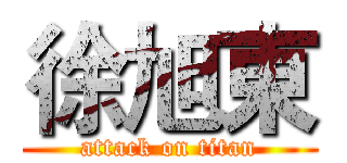 徐旭東 (attack on titan)