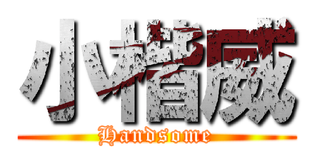 小楷威 (Handsome)