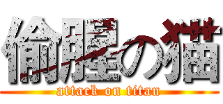偷腥の猫 (attack on titan)