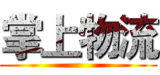 掌上物流 ()