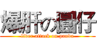 爆肝の圓仔 (liver attack on panda)