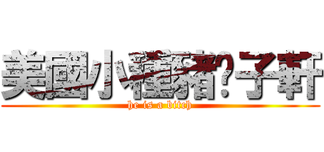 美國小種豬吳子軒 (he is a bitch)