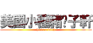 美國小種豬吳子軒 (he is a bitch)