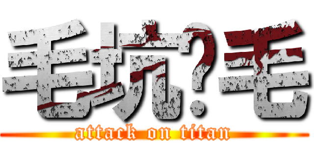毛坑爹毛 (attack on titan)