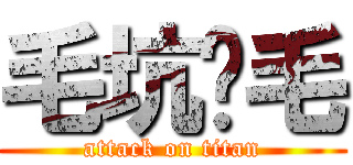 毛坑爹毛 (attack on titan)