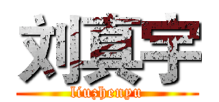 刘真宇 (liuzhenyu)