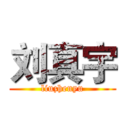 刘真宇 (liuzhenyu)