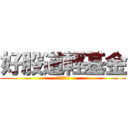 好股道輕基金 (改你麻痹的名)