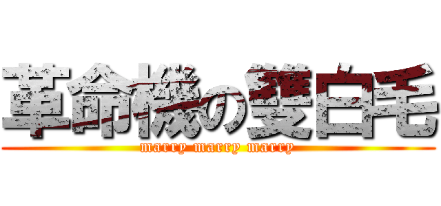 革命機の雙白毛 (marry marry marry)