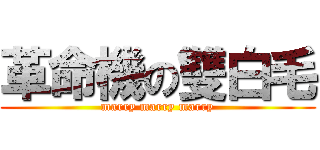 革命機の雙白毛 (marry marry marry)