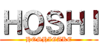 ＨＯＳＨＩ (HOSHIGAKE)