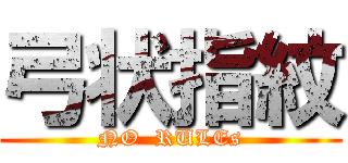 弓状指紋 (NO  RULEs)