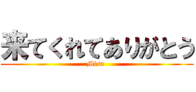 来てくれてありがとう (Misa )