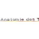 Ａｎａｔｏｍｉｅ ｄｅｓ Ｔｉｔａｎｓ (attack on titan)