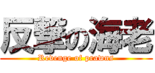 反撃の海老 (Revenge of prawns)
