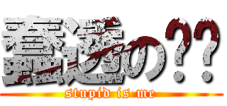 蠢透の张总 (stupid is me)
