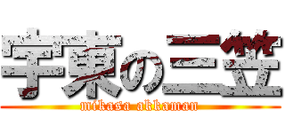 宇東の三笠 (mikasa akkaman)