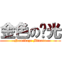 金色の闪光 (Namikaze Minato)