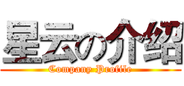 星云の介绍 (Company Profile)