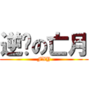 逆袭の亡月 (FXY)