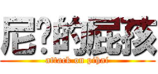 尼玛的屁孩 (attack on pihai)