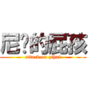 尼玛的屁孩 (attack on pihai)