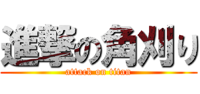 進撃の角刈り (attack on titan)