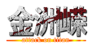 金洲嵘 (attack on titan)