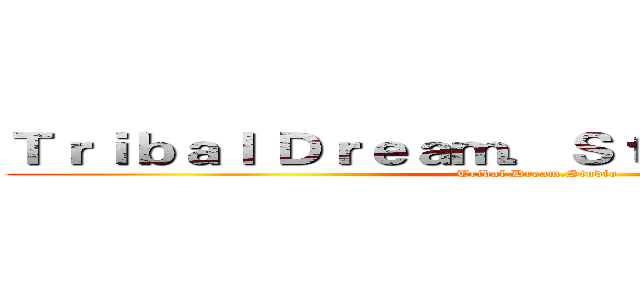 Ｔｒｉｂａｌ Ｄｒｅａｍ．Ｓｔｕｄｉｏ 夢想部落 (Tribal Dream.Studio)