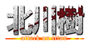 北川樹 (attack on titan)